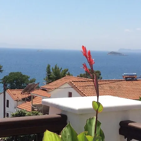 Ocean View